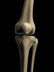 Rendering visivo delle ossa del ginocchio — Foto stock