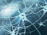 Нервные клетки и аксонные соединения — стоковое фото