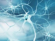 Nervenzellen und Axonverbindungen — Stockfoto