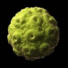 Visual render of Brome virus — Stock Photo