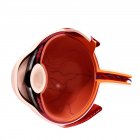 Anatomie oculaire humaine — Photo de stock