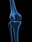 Rendering visivo delle ossa del ginocchio — Foto stock