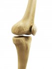 Візуальне відображення кісток коліна — стокове фото
