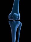 Renderização visual dos ossos do joelho — Fotografia de Stock