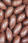 Close-up view of pecans nuts, full frame. — Stock Photo