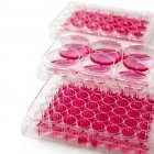 Close-up of cell culture plates on white background. — Stock Photo