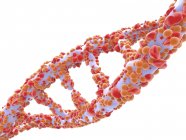Структура молекулы ДНК — стоковое фото