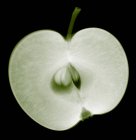 Рентген яблука, розрізане навпіл з насінням . — стокове фото