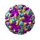 Partícula del virus Norwalk - foto de stock