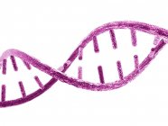 Unzipped ДНК молекули — стокове фото