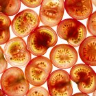 Vista de cerca de rodajas de tomate sobre fondo blanco . - foto de stock