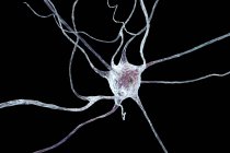 Nervenzellstruktur auf schlichtem Hintergrund — Stockfoto