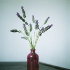 Лавандовые цветы в вазе на столе . — стоковое фото