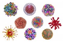 Virus pathogènes humains — Photo de stock