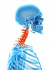 Human cervical spine pain — Stock Photo
