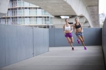 Молоді жінки гоночні на відкритому повітрі — стокове фото