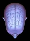 Menschlicher Kopf mit Gehirn — Stockfoto