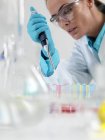 Female researcher pipetting liquid in laboratory. — Stock Photo