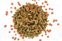 Вирусы ВИЧ-инфекции Т-лимфоцитов — стоковое фото