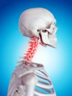 Human neck pain — Stock Photo