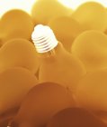 Электрические лампочки с винтовой арматурой, негативное изображение . — стоковое фото