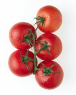 Tomates cereja em videira no fundo branco . — Fotografia de Stock