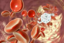 Red blood cells and white blood cells — Stock Photo