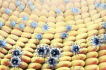 Viruses infecting human cells — Stock Photo