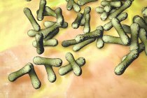 Стержневі бактерії Corynebacterium diphtheriae — стокове фото