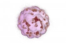 Distruzione di un embrione umano — Foto stock