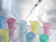 Close-up of pipetting liquid into Eppendorf tubes. — Stock Photo