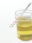 Urine sample with test strip showing results. — Stock Photo