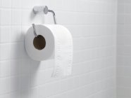 Toilet paper holder and roll. — Stock Photo