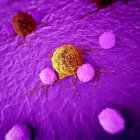Krebszellen und weiße Blutkörperchen — Stockfoto