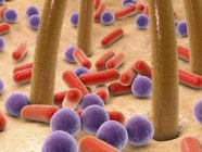 Bakterien auf der menschlichen Haut — Stockfoto