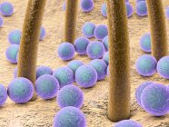Бактерии на коже человека — стоковое фото