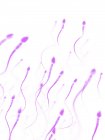 Здорові сперматозоїди людини — стокове фото