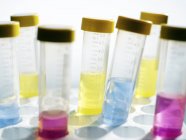 Líquidos de cores diferentes em frascos de amostra em laboratório . — Fotografia de Stock