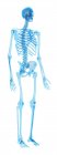 Structure du squelette humain — Photo de stock