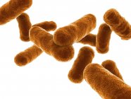 Kunstwerk aus stäbchenförmigen Bakterien — Stockfoto