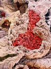Кровеносные сосуды в легких — стоковое фото