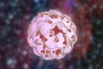 Destrucción de un embrión humano - foto de stock
