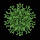 Vista de la partícula del poliovirus - foto de stock