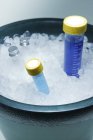 Échantillons dans des tubes entreposés dans un récipient avec glace . — Photo de stock