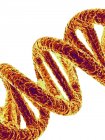Rendering of DNA molecule structure — Stock Photo