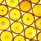Tranches d'orange sur fond blanc. — Photo de stock