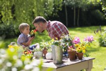 Son holding plant with father sniffing flowers in garden. — Stock Photo
