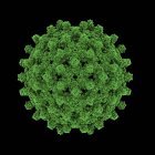 Capsid of hepatitis B virus — Stock Photo