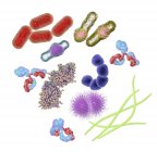 Microbios y moléculas de diferentes formas - foto de stock