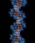 Cadeia de ADN beta — Fotografia de Stock
